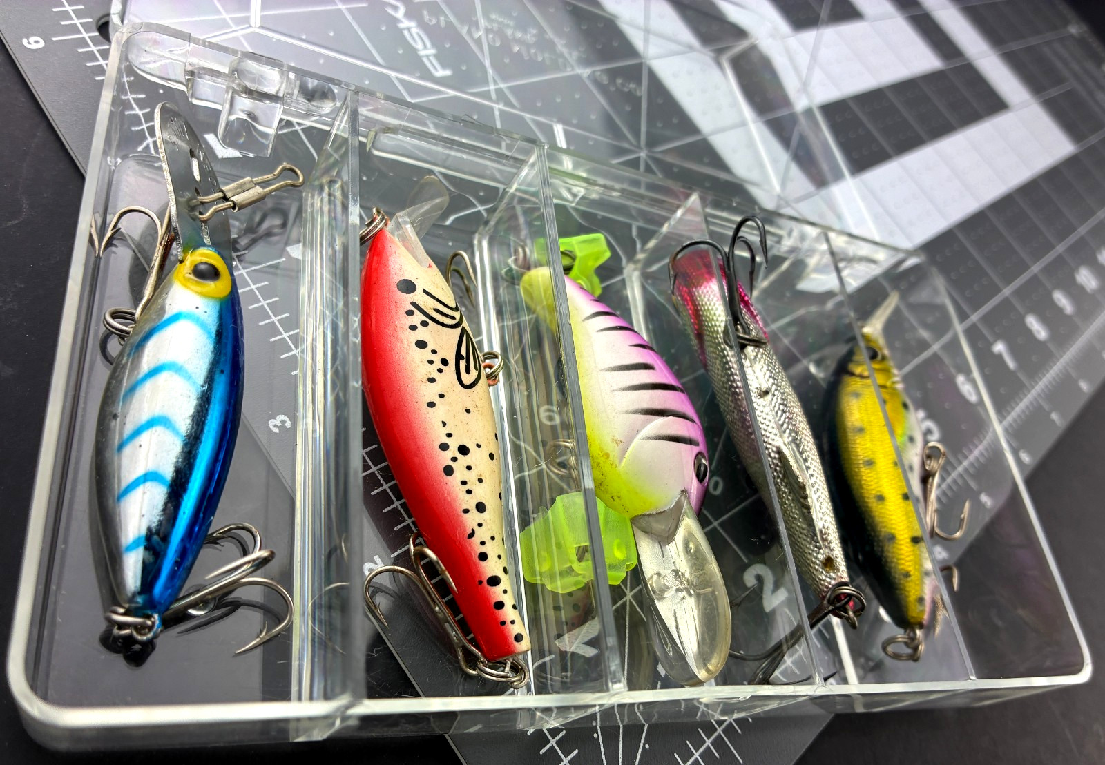 Storm 3'' Blue w tiger stripes Thin Fin Lures & Plano Clear Box + 4 Plugs    KK - Image 5