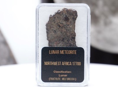 NWA 17700   Lunar Meteorite Troctolite Melt Breccia