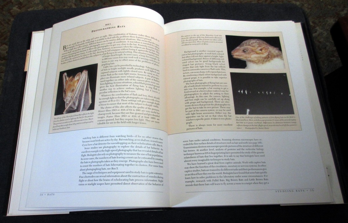 洋書　BATS     M. BROCK FENTON Amazon.com: Bats: A World of Science and Mystery
