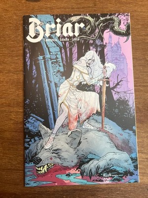 Briar 1 BOOM! Studios Sleeping Beauty Christopher Cantwell Variant 2022