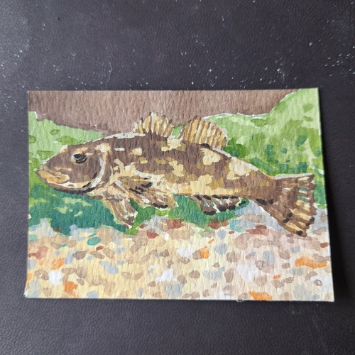ACEO original fish gouache painting 16/80 animal crossing goby ajacks_art