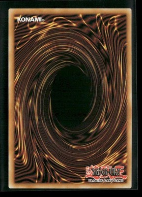 yugioh new prize card Amazon.com: YuGiOh : LDK2-ENK01 Limited Ed Blue-Eyes White Dragon Common  Card
