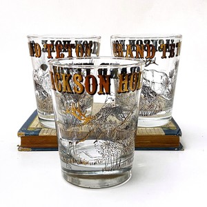 grand teton whiskey glasses