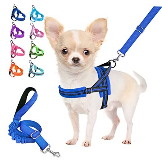 Dog Harness and Leash Set, Soft Padded Small XXS ( Chest 11.5'' ~ 15'') Blue