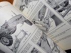 Foto 10 di 12