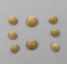 Lot 8 Gold Waterbury Crest Buttons metal USA ...