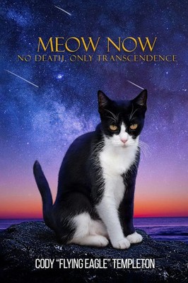 Cody Flying Eagle Templeton | Meow Now | Taschenbuch | Englisch (2024)