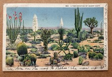 Vintage Linen Postcard - Desert Cacti