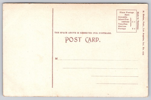 Antique Postcard The Busch Park Pasadena California - 第 2/14 張圖片