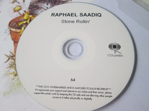 Raphael Saadiq ‎– Stone Rollin' Label : Columbia Records UK Promo CD Album