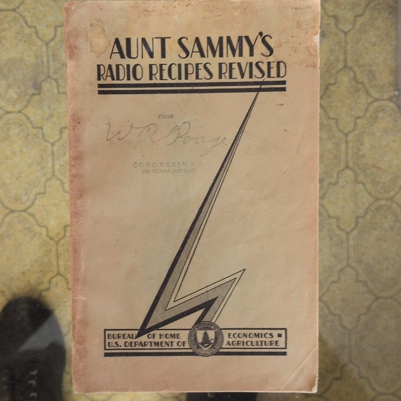 Vintage Cookbook Lot: David Wade Recipes for Young Moderns, Aunt Sammy's 1931