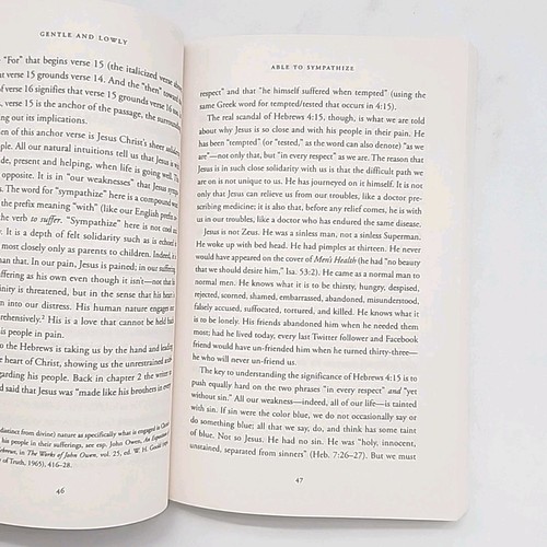 Gentle and Lowly by Dane Ortlund 1st Edition 2021 Paperback Book - Picture 20 of 24