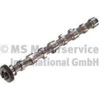 1X Kolbenschmidt 50007020 Nockenwelle FüR VW Audi Skoda Seat