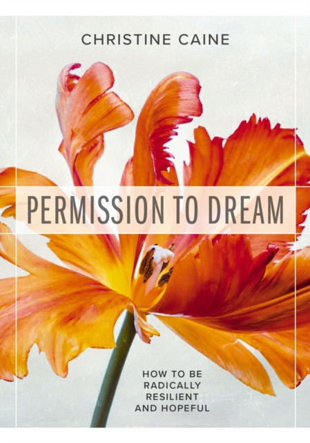Permission to Dream by Christine Caine (Paperback Book)