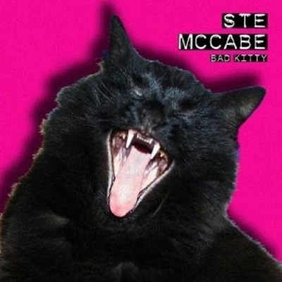 STE MCCABE - BAD KITTY  CD  11 TRACKS ROCK INDEPENDENT NEU 