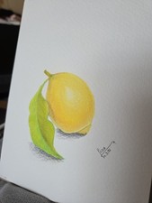 Original Watercolour Painting,  "The Lemon", Read Description