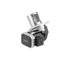 AGR Ventil BORG WARNER 7527D/1