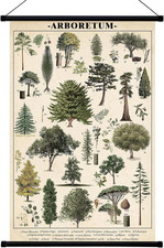 Tree Vintage Poster Wall decor Mallard Ducks Hunting Art Knowledge Picture Print