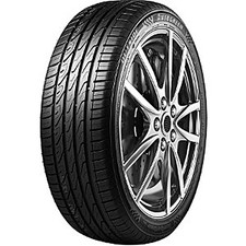 AUTOGREEN Sommerreifen 205/55 R17 TL 95W SUPERSPORTCHASER-SSC5 XL