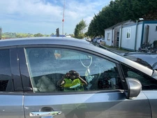 NISSAN LEAF DOOR GLASS WINDOW FRONT RIGHT 2018-2024 803003NL1A