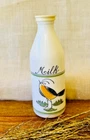 Vintage Egizia Milk Glass Bottle with Bird Design Labeled Milk 10" Tall