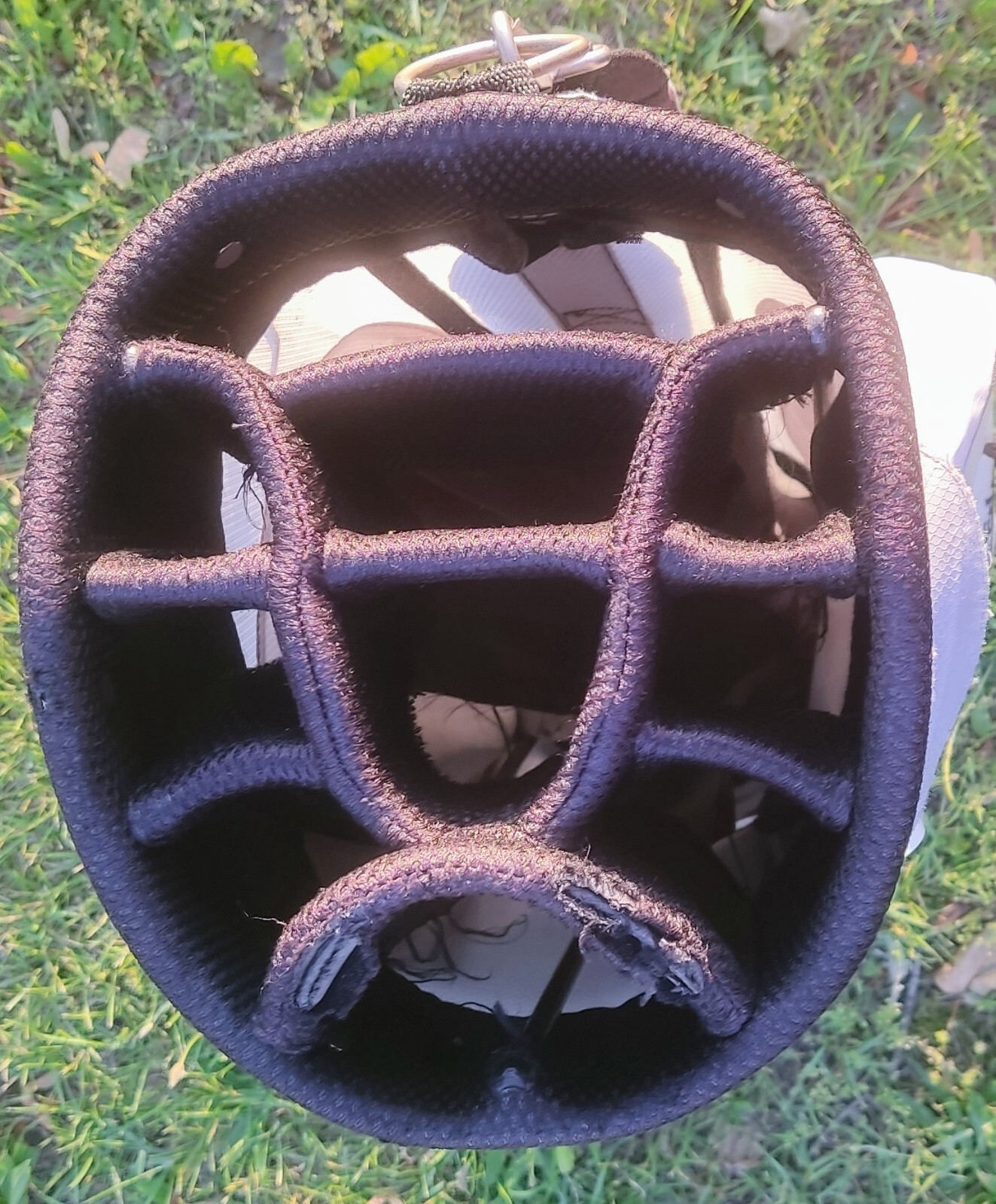 Picture 12 of 12