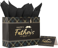 13 Inch Father  s Day Gift Bags, Including Greeting Card and Tissue Paper - Ideal