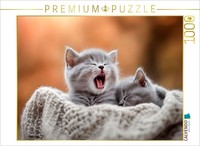Calvendo Puzzle Kleine Auszeit | 1000 Teile Lege-GrößE 64 × 48 Cm Foto-Puzzle Fü