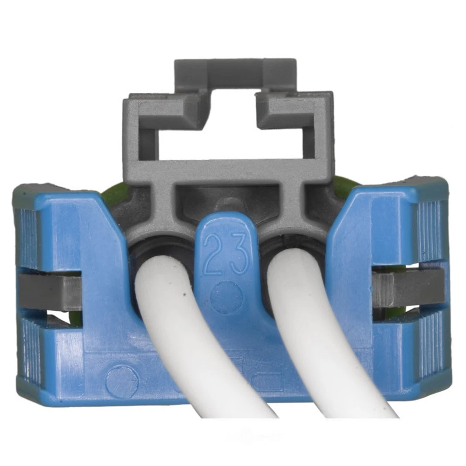 Conector de motor de ventana eléctrica WVE 1P1587 Foto 4 de 4