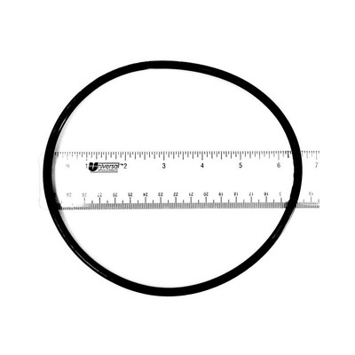 Pentair R172223 Patrone Gehäuse O-Ring