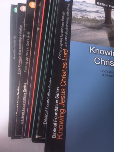 Biblical Foundation Series Set: Books 1-12, by Larry Kreider PB H13 - Bild 2 von 14