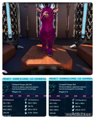 ark survival ascended pve SOLID ID208 LEVEL 1 ZUCHTPAAR SHINEHORN KLONE