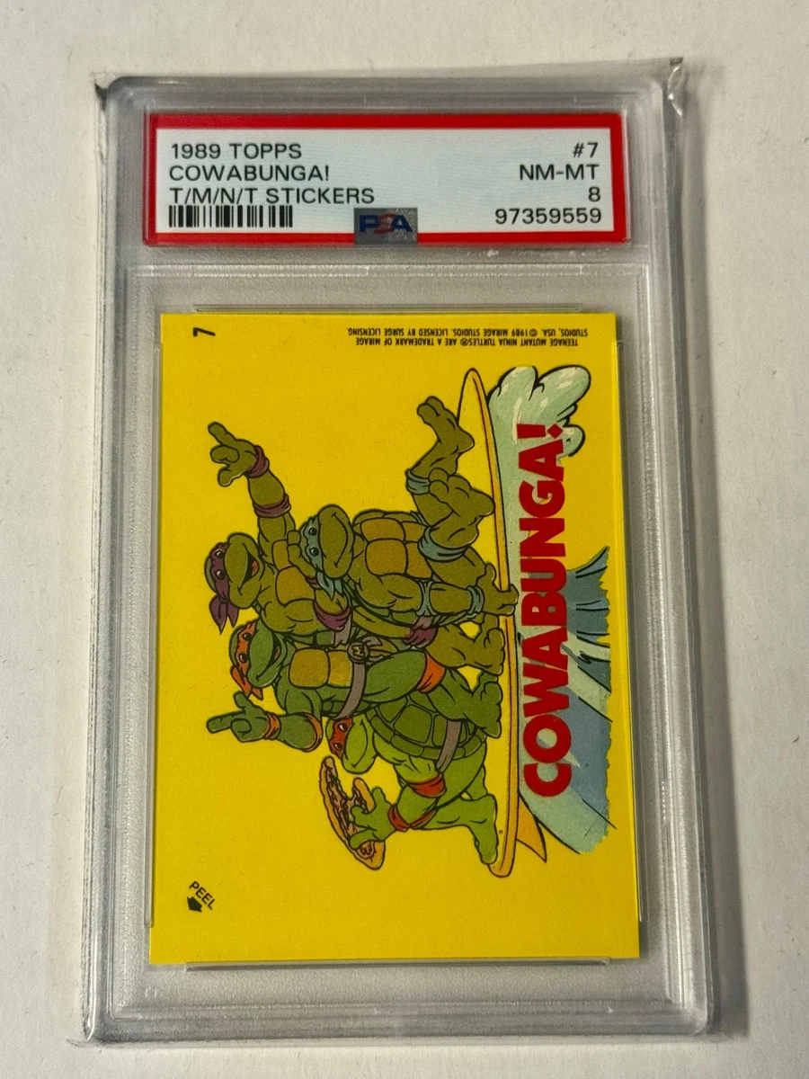 Teenage Mutant Ninja Turtles Professional Sports Authenticator