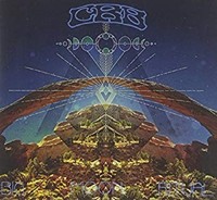 Chris Robinson Broth - Big Moon Ritual - Cd - G2Z