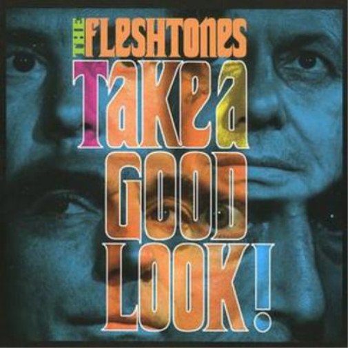 Альбом The Fleshtones Take a Good Look (CD)