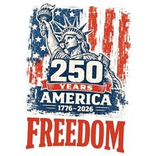 3pcs America 250th Anniversary Freedom Car Decal 1776-2026 USA 250th 001