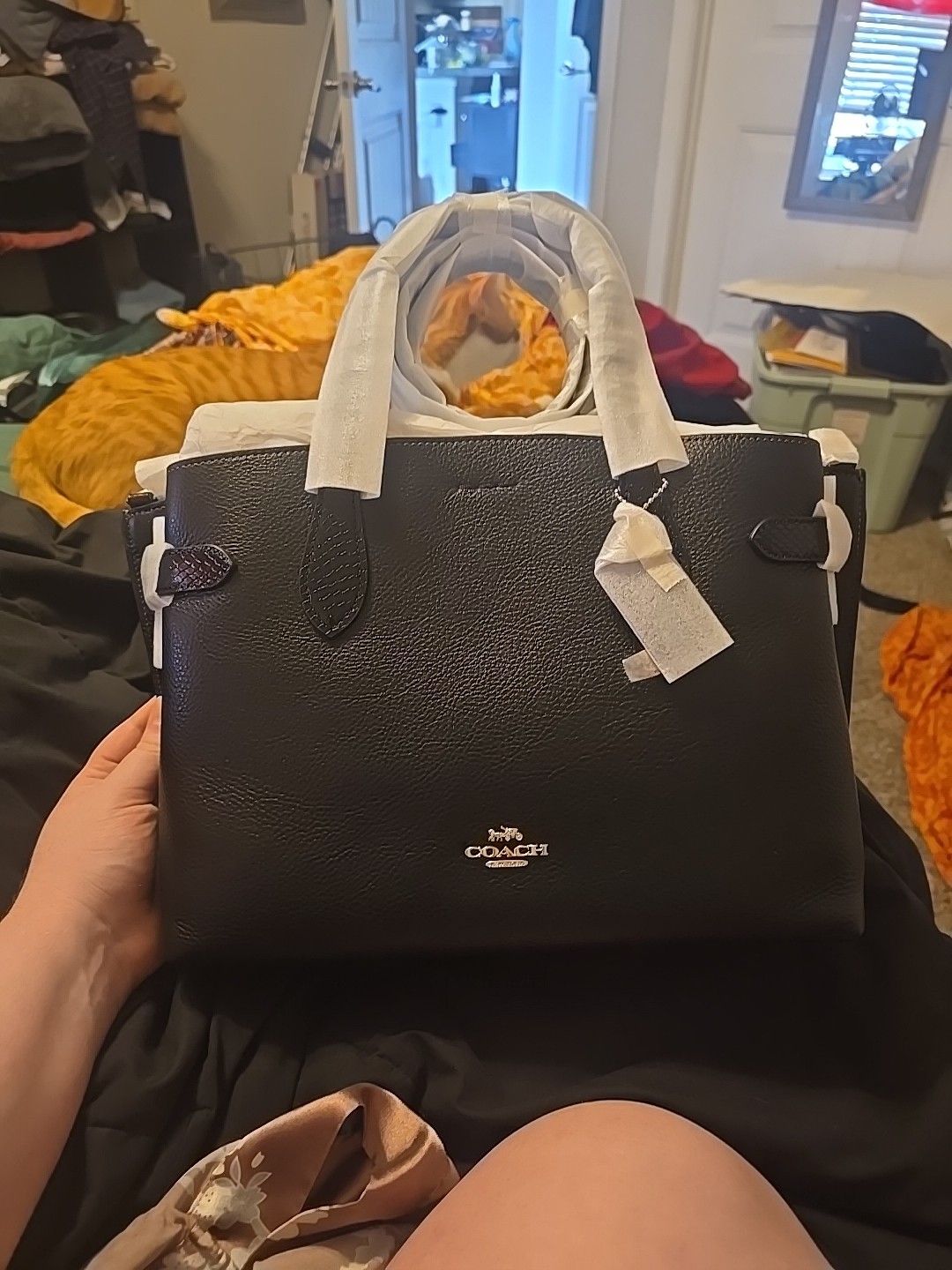 NWT Coach Hanna Carryall Handbag in Signature Leather