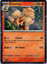 Arcanine #011 Scarlet & Violet Black Star Promo Holo