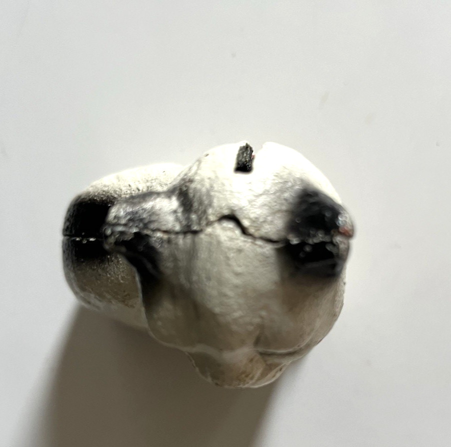 Vintage John Wright Cast Iron Still Bank Cat Red Bow Original Paint GREAT SHAPE