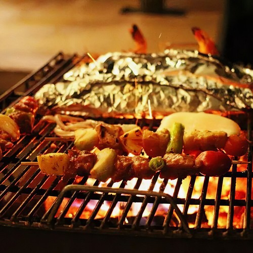 BBQ Grill Mesh Grate Grids Barbecue Replacement Net Stainless Steel Rack 30-49cm - Picture 2 of 28