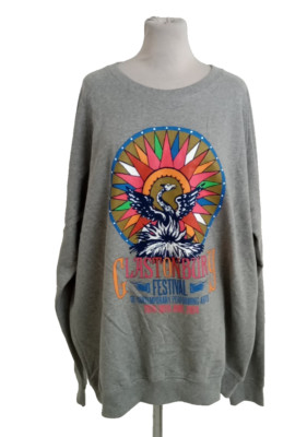 Glastonbury Festival 2024 Men's Sweatshirt 2XL Grey Bird/Logo Printed New F1