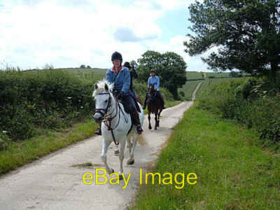 Foto 6x4 Hacken rund um das Piddle Valley Piddlehinton eine Gruppe Pferde c2008