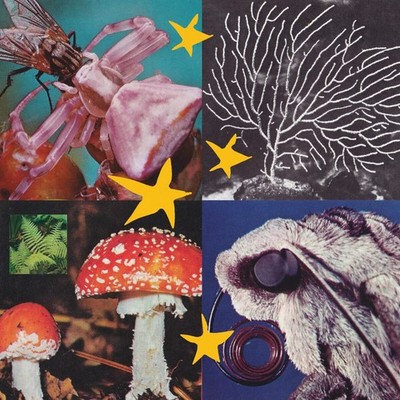 Various Artists All Things Considered Vol.2 (Schallplatte)
