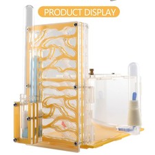 Ants Nest Ant Farm With Feeding Area Insect Pet Educational Acryl for House Ants