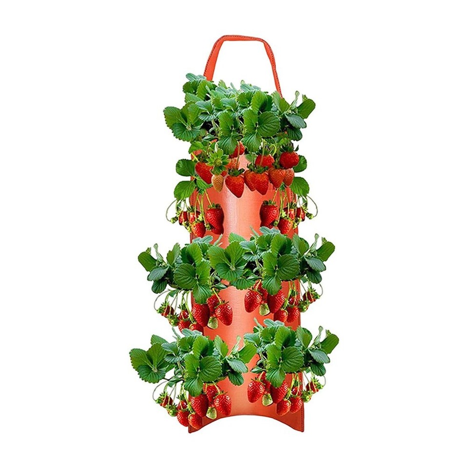 Breathable Fabric Hanging Grow Bag for Upside Down Tomato & Strawberry
