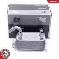 Esen SKV ÖLküHler MotoröL 31SKV228 FüR Ford Focus 3 Turnier Fiesta 6 CB1 CCN 4 2