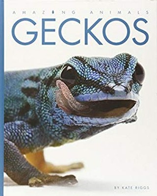 Geckos Hardcover Kate Riggs