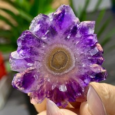 16G Ametista naturale alta qualità agata quarzo a grappolo fetta cristallo minerale