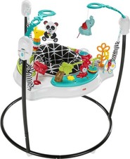 Fisher-Price Pink Petals Jumperoo Musical Activity Center Bouncer Lights Sounds