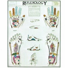 Reflexology Hands Feet Chart, Poster